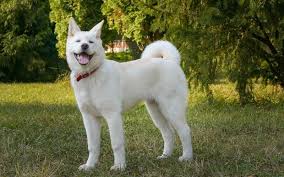 �����Ƒ��Ɍ}����O��